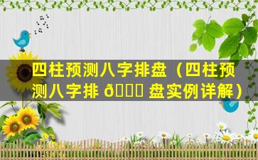 四柱预测八字排盘（四柱预测八字排 🐛 盘实例详解）